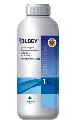 Scopri l'efficacia di 3LOGY sulle orticole!